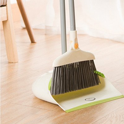 Hair removal broom set