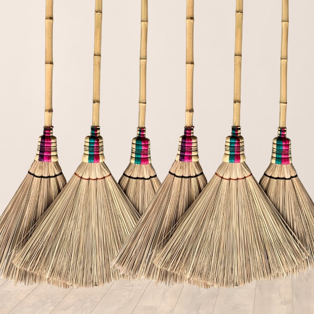 Palm Ekel Broom