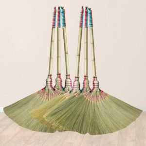 asian broom