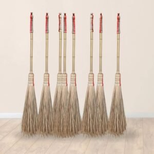 Garden Broom