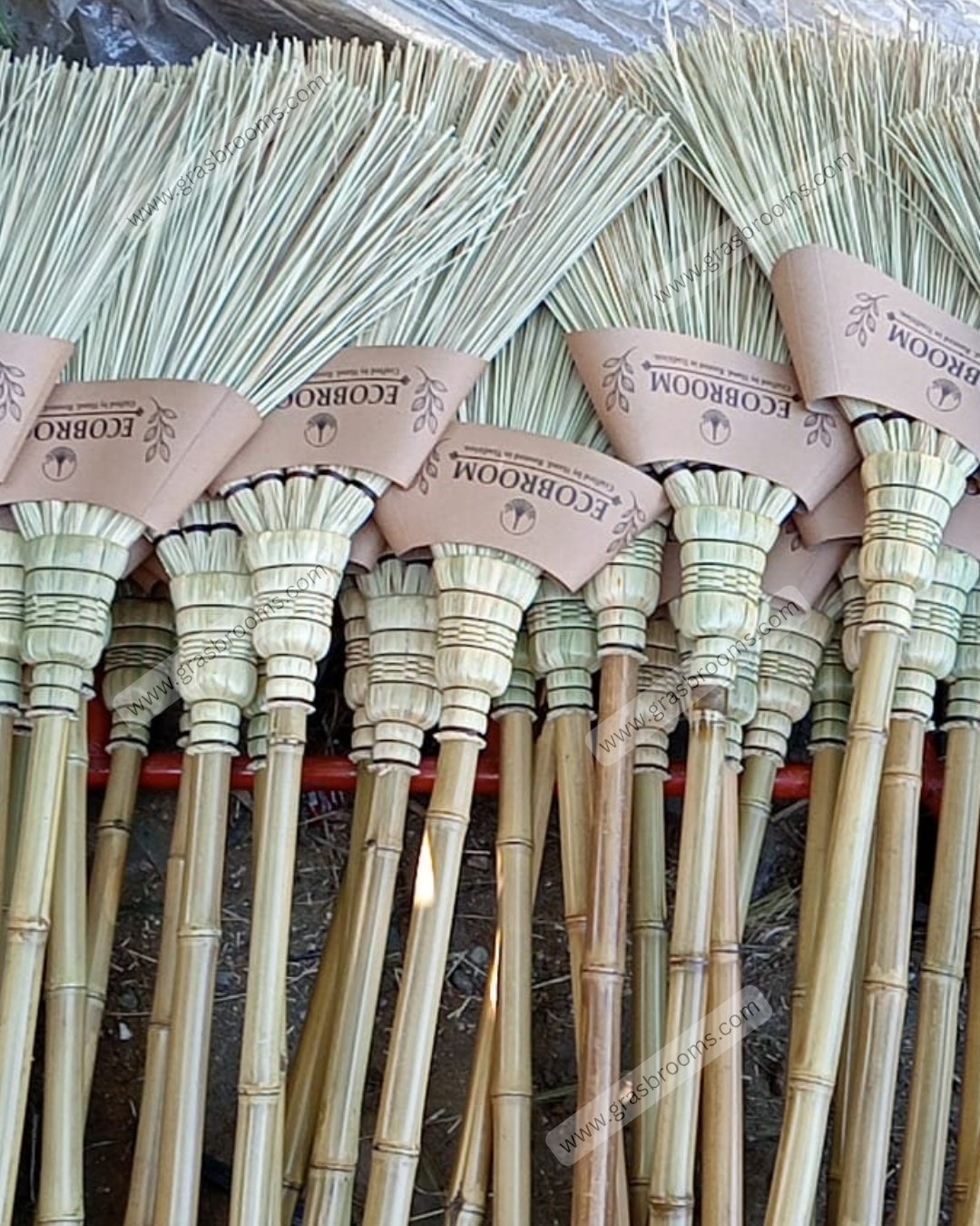 Palm Ekel Broom